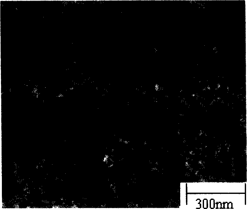 Method for preparing carbon gas gel