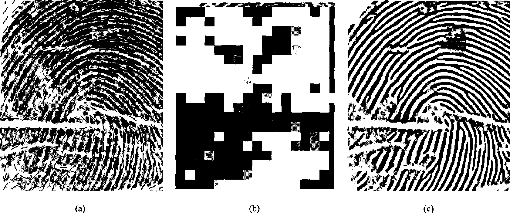 Method for fingerprint image mark direction calculation and image segmentation based on BP neural network