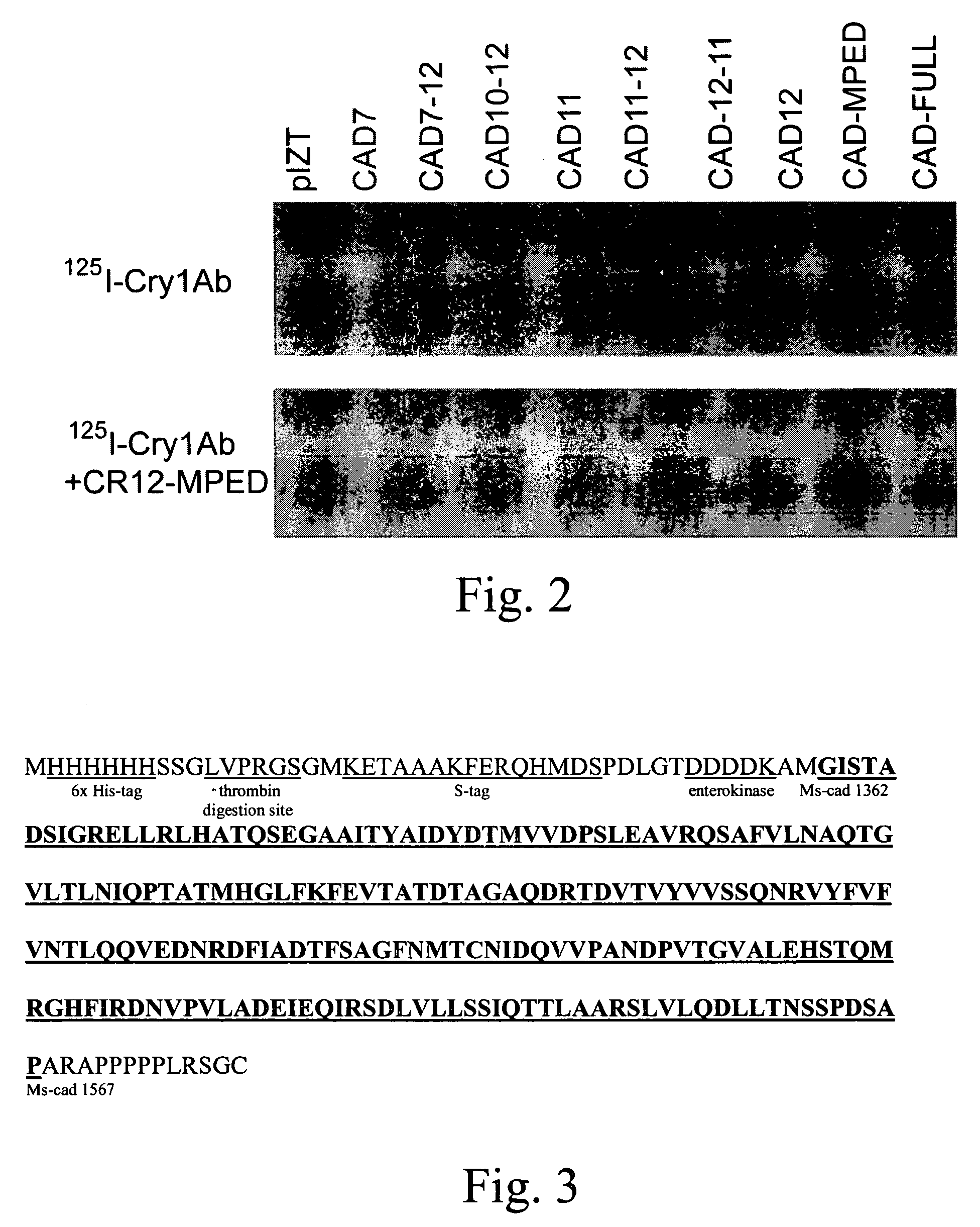 Peptides for inhibiting insects