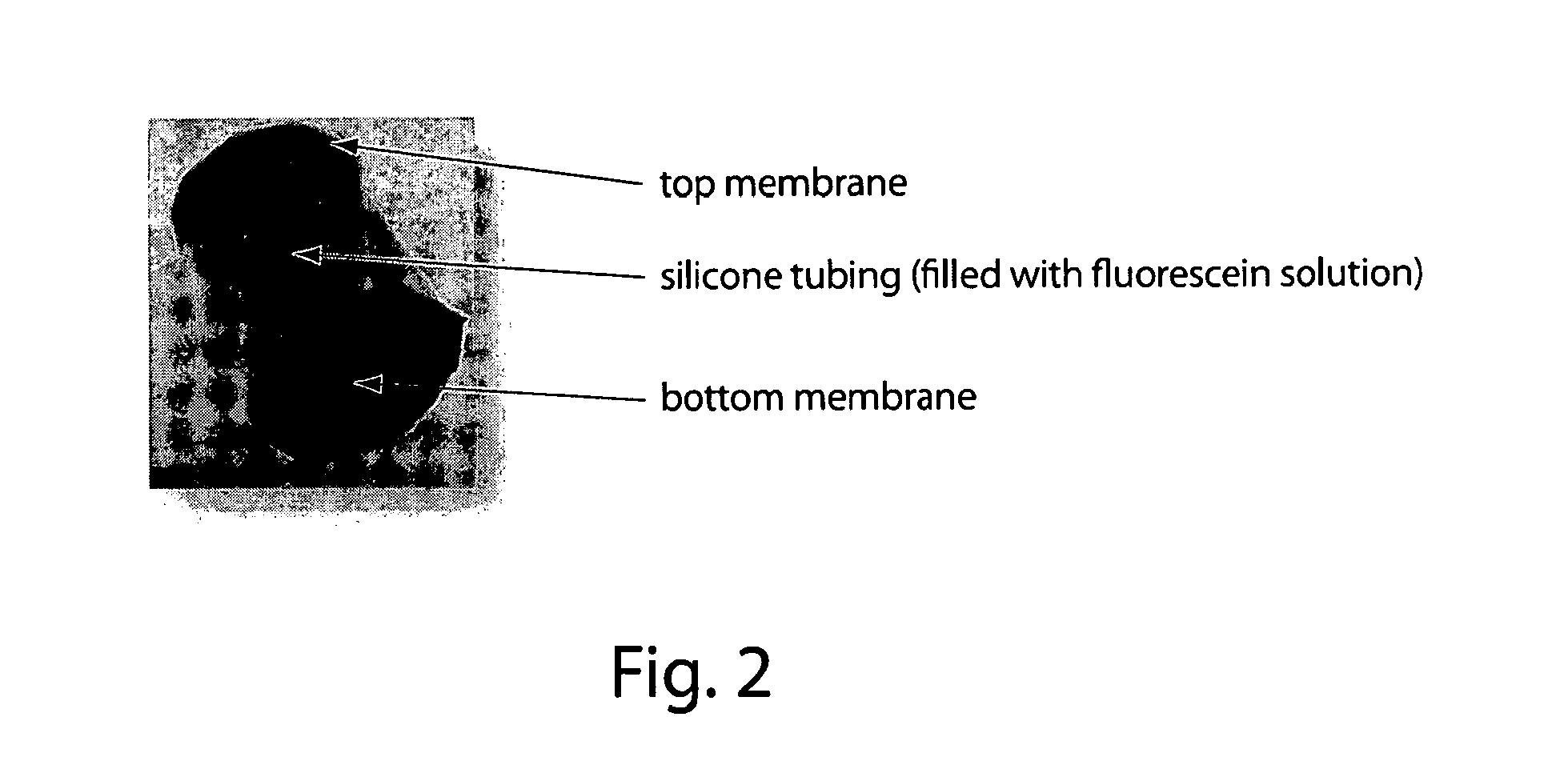 Magnetic heating for drug delivery and other applications