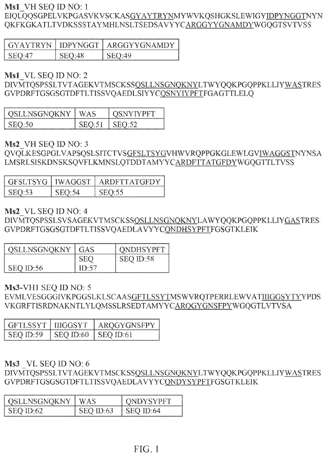 Anti-CLauDiN 18 antibodies and methods of use thereof