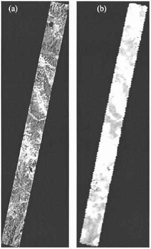 A Satellite Remote Sensing Extraction Method of Leaf Albedo to Eliminate the Effects of Vegetation Canopy Structure and Surface Background