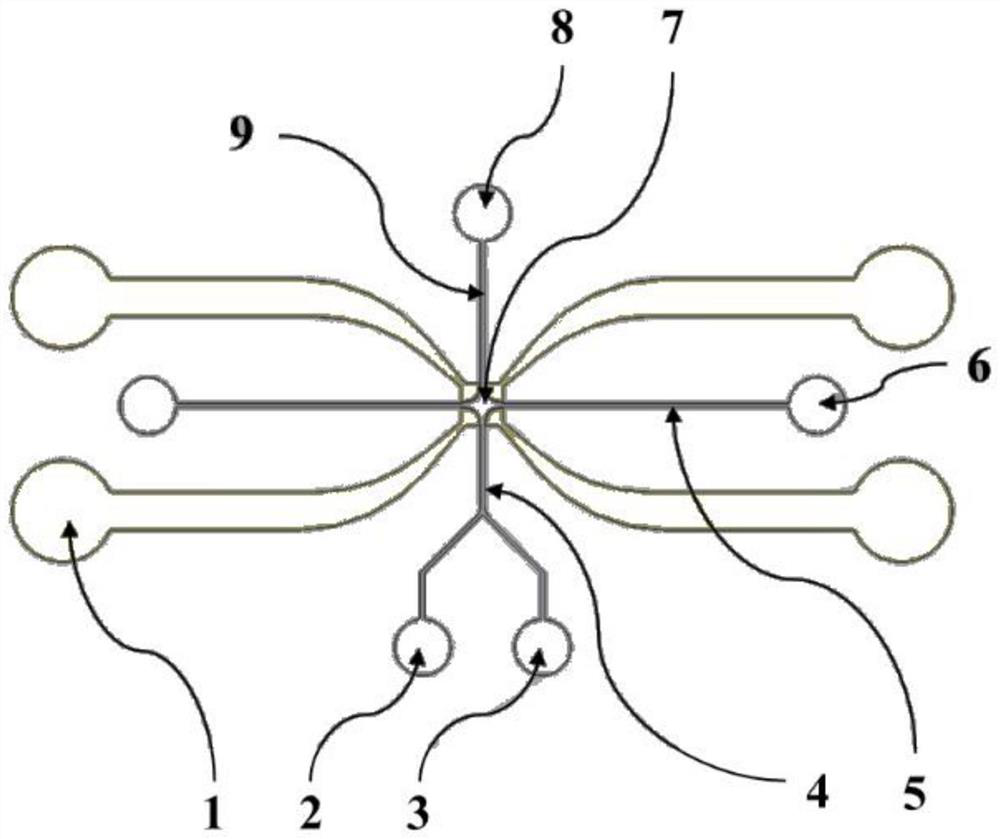 A cell capture and detection micro-fluidic chip