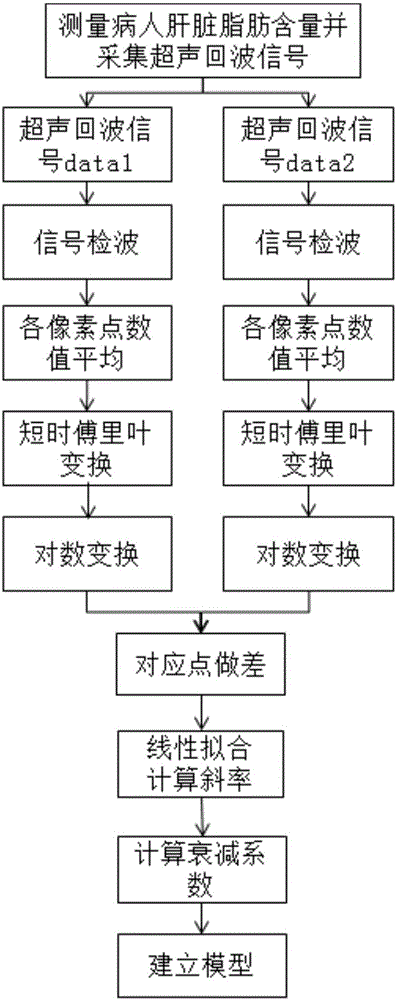 Liver fat qualitative measurement method based on ultrasonic attenuation coefficient