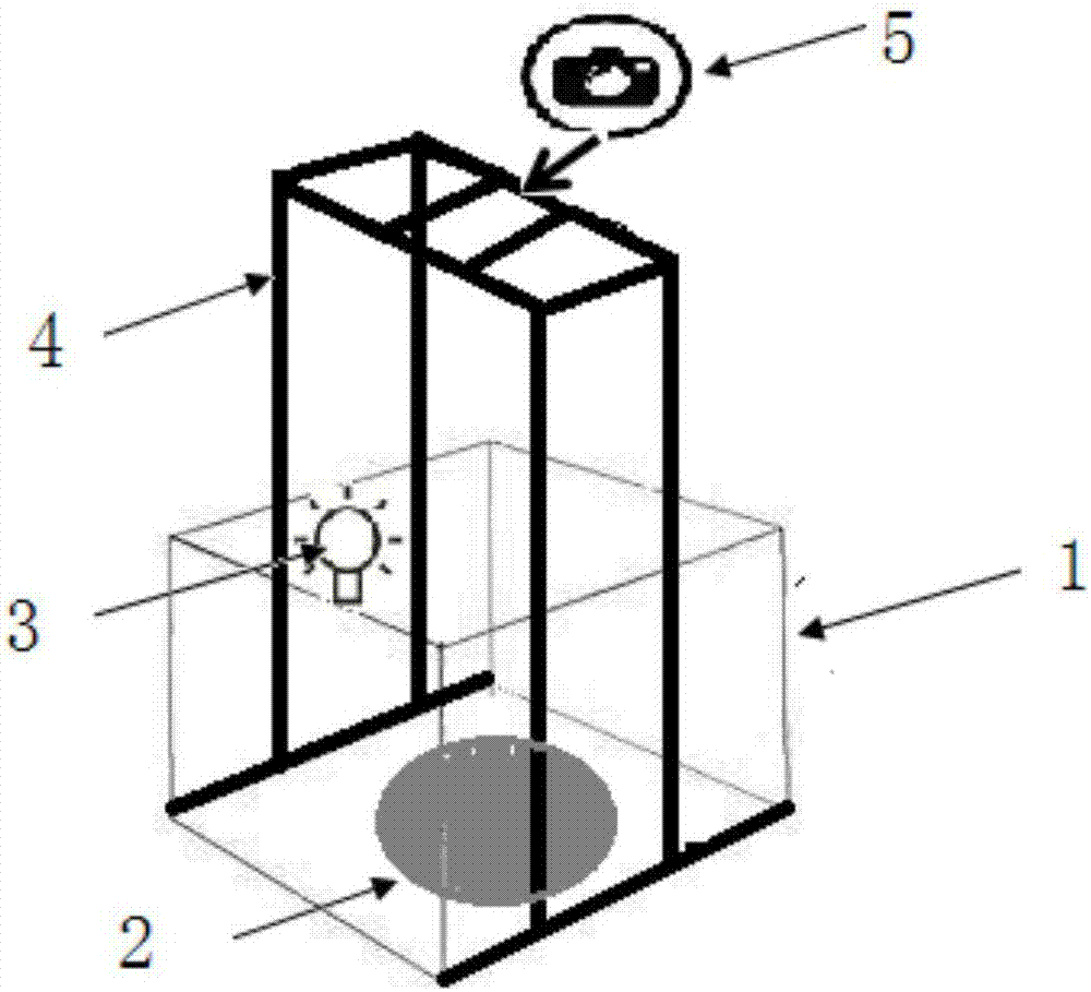 Tridacna mantle picture acquisition device and application method thereof