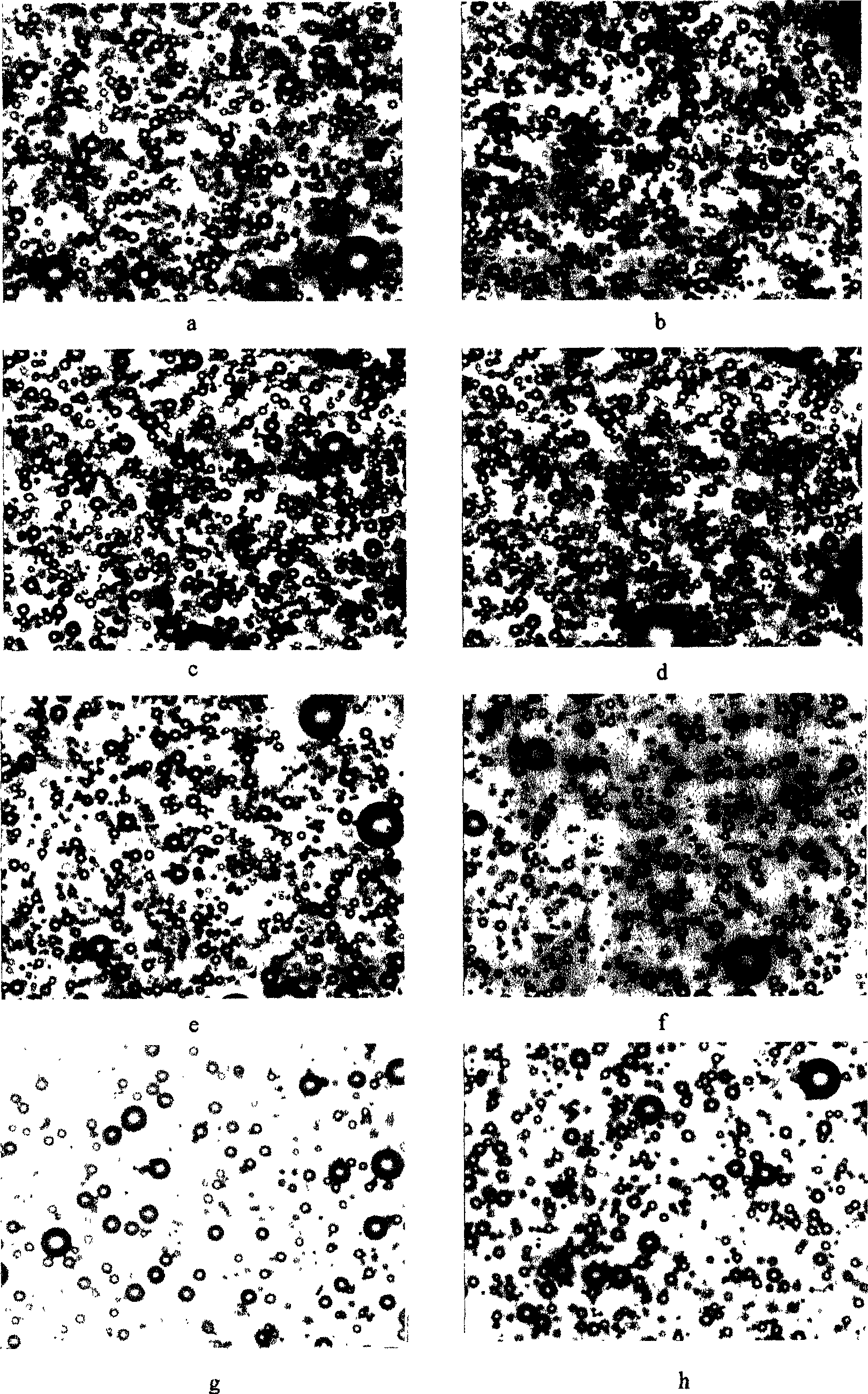 Ultrasound contrast medium composition with phospholipid as membrane material and its preparation method