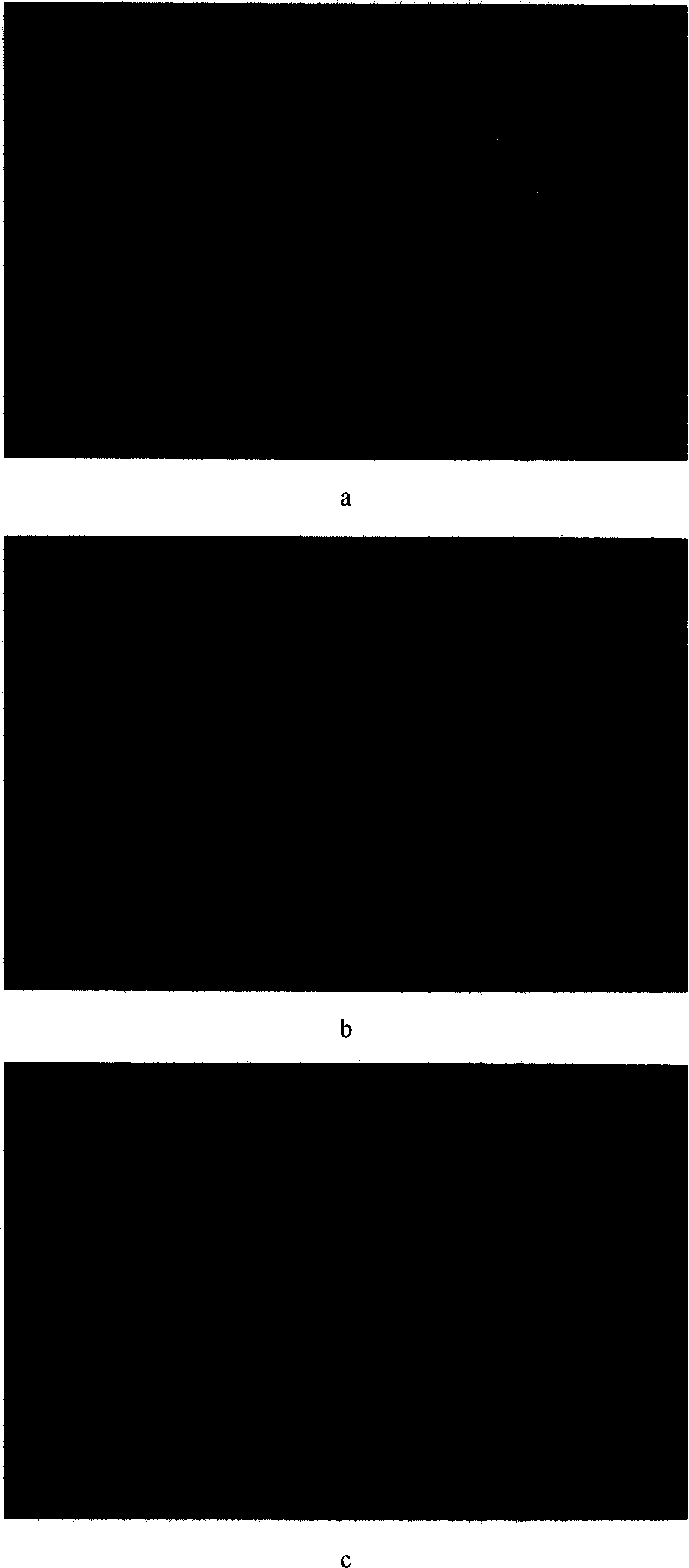 Ultrasound contrast medium composition with phospholipid as membrane material and its preparation method