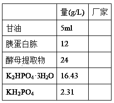 Preparation method of D-amino acid