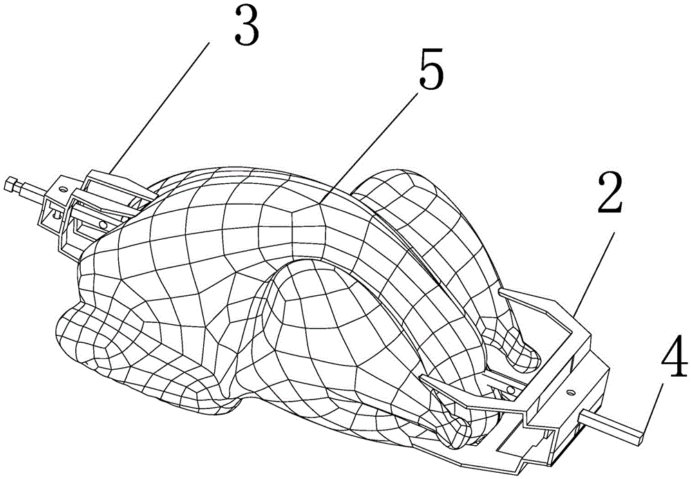 Chicken roasting frame