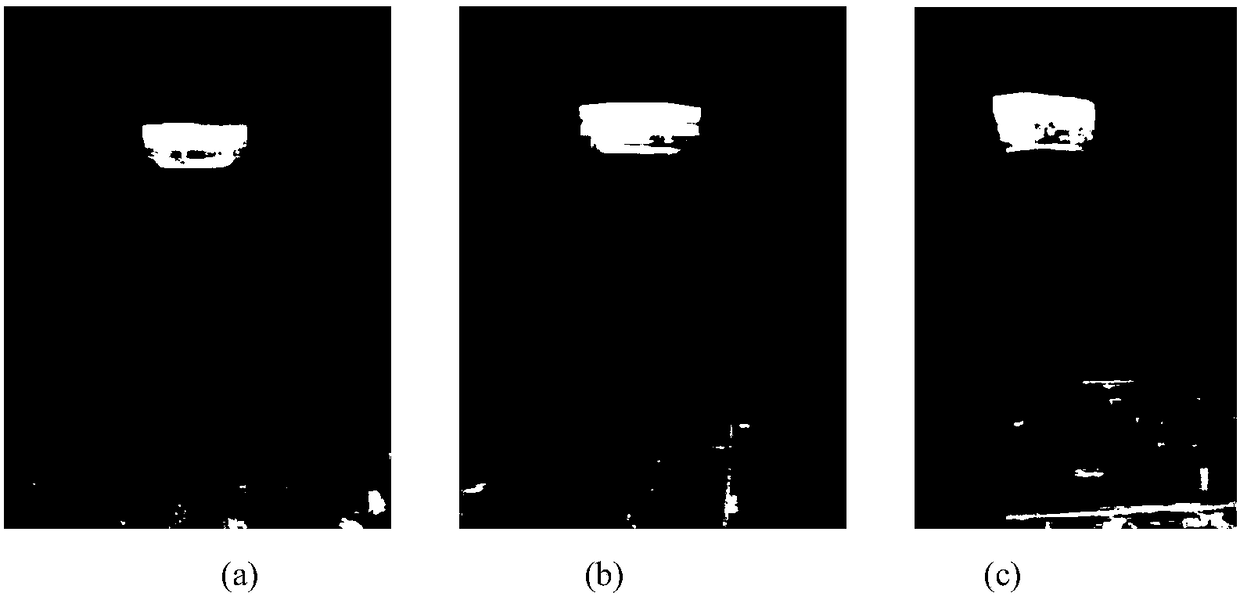 A method for characterizing microbe phagocytosis by pomfret macrophages