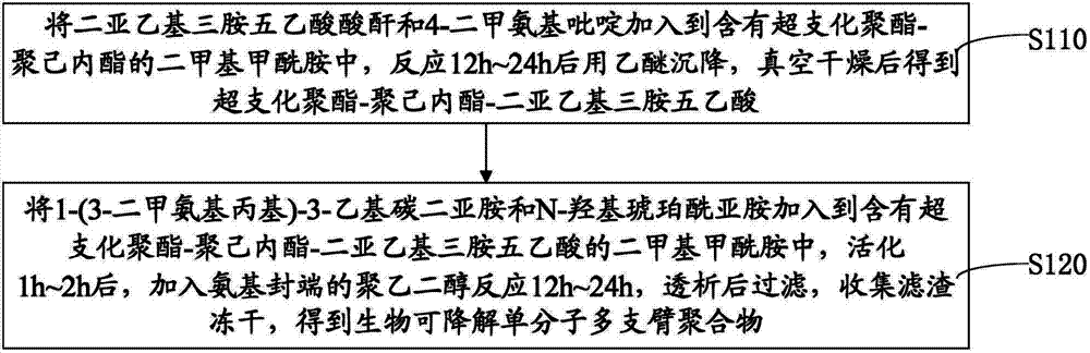 Biodegradable unimolecular multi-support-arm polymer as well as preparation method f and application thereof