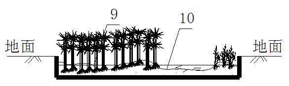 Low-carbon sluggishing method for source rainwater