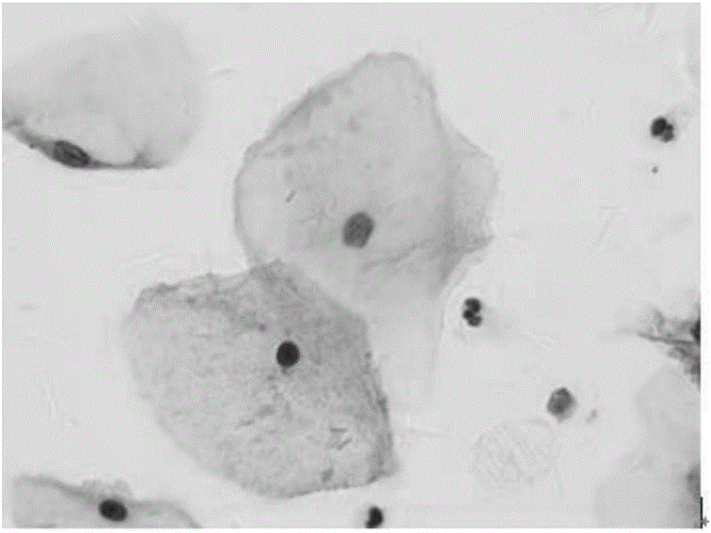 Alkali solution based cell preservation treating fluid and preparation method thereof