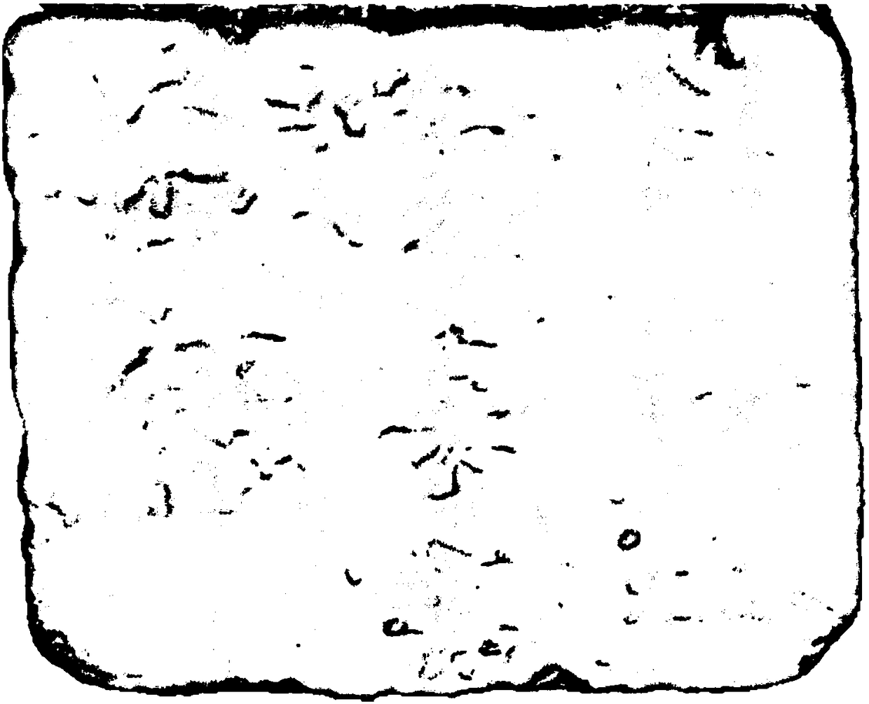 Digital rubbing manufacturing method and system based on triangular grid model and storage medium