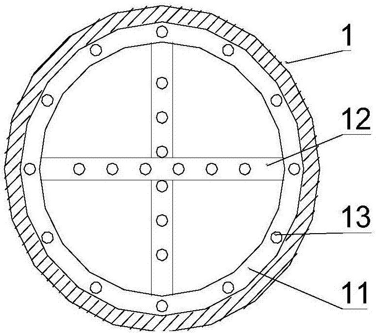 Planting and throwing device for remediation of heavy metal contaminated soil