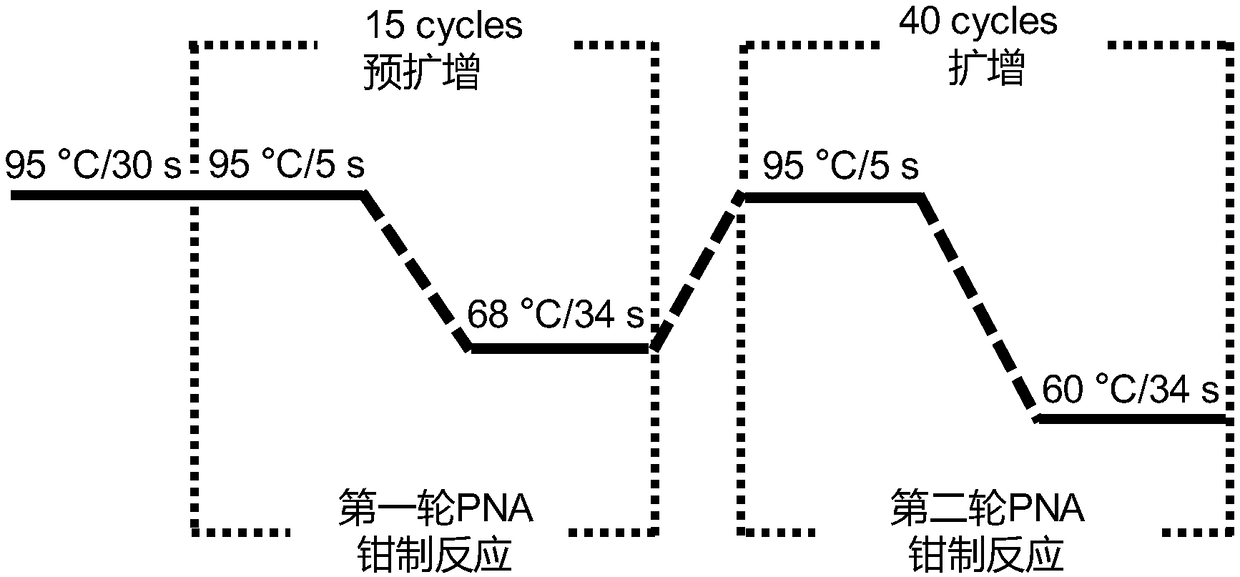 Quantitative detection method of DNA point mutation