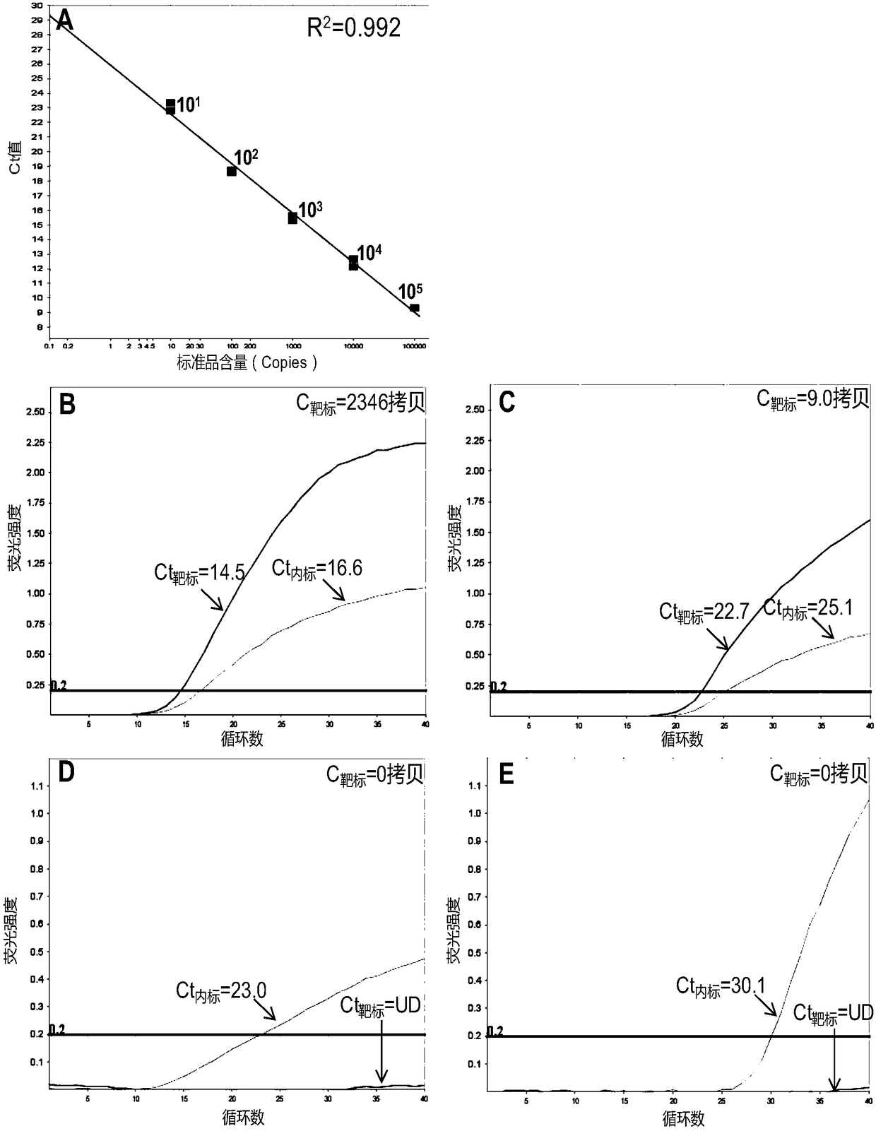 Quantitative detection method of DNA point mutation