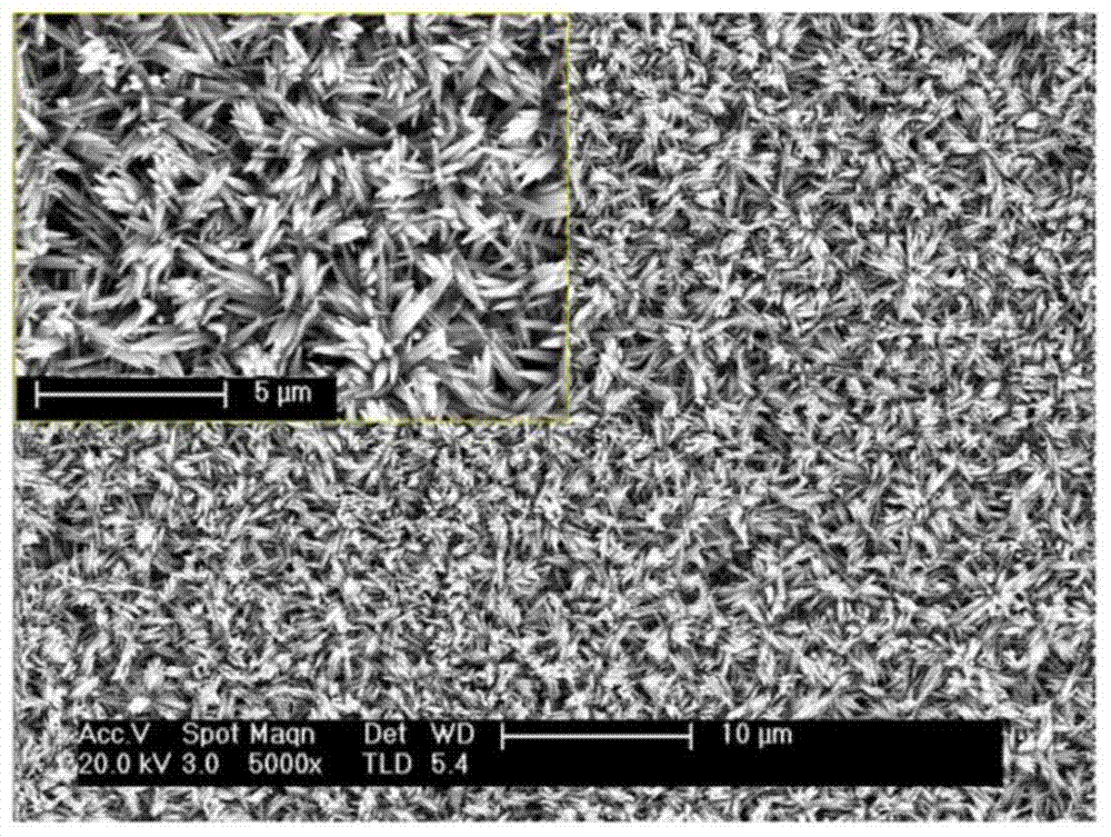 Preparation method of height-oriented ZnO nanocone array structure material