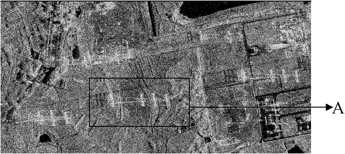 High-resolution SAR satellite image speckle de-noising method