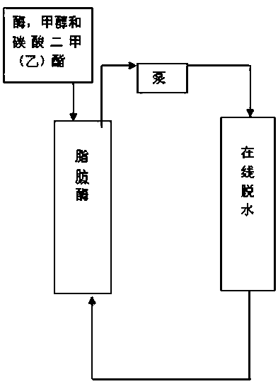 Method for preparing biodiesel from enzymatic oil