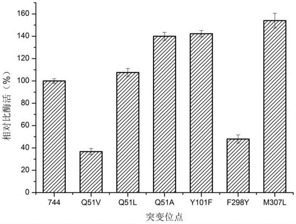 D-lactic dehydrogenase mutant and application thereof