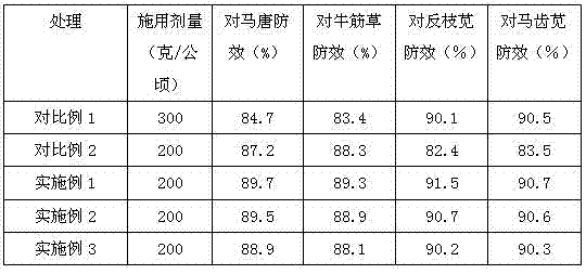 Water dispersible granule containing mesotrione and clopyralid and production method thereof