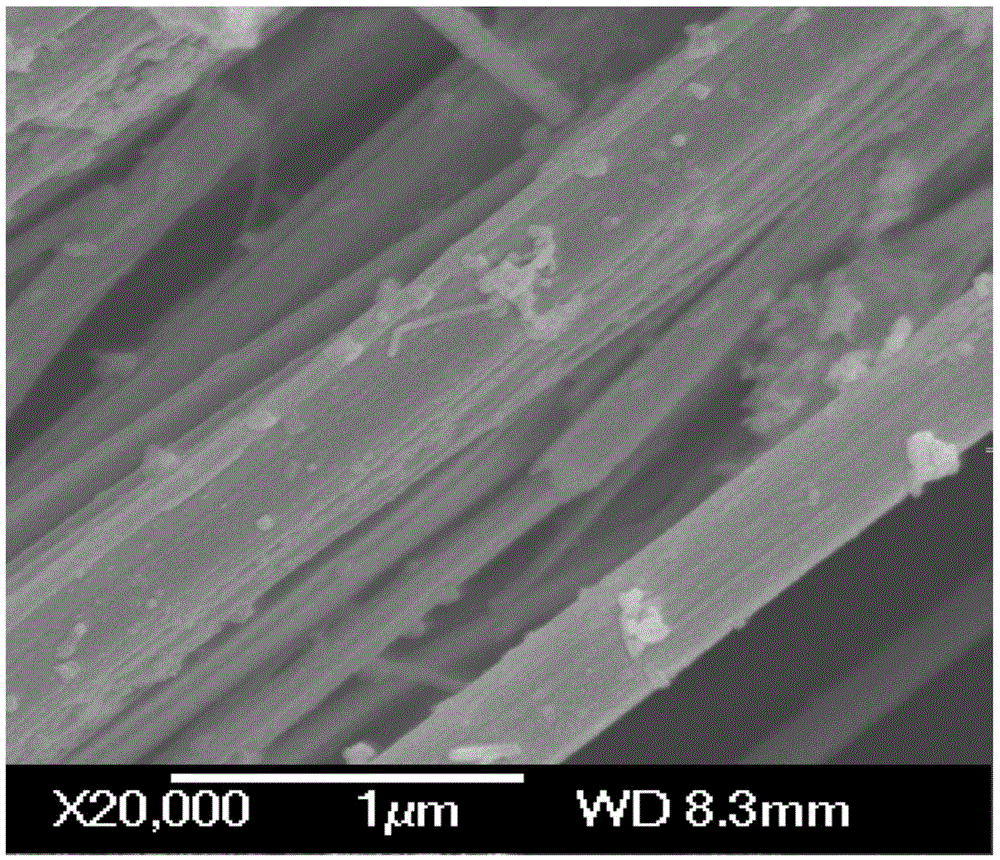 Preparation method of bismuth subcarbonate nanoribbon