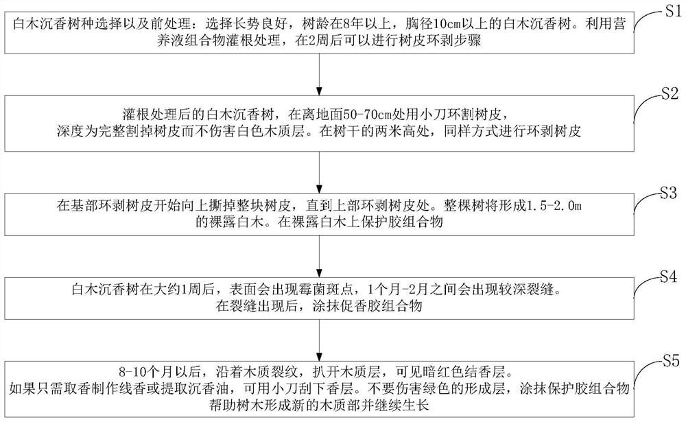 Method for promoting agilawood tree to produce agilawood by girdling bark