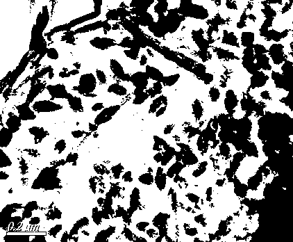 Graphene/mesoporous titanium dioxide visible light catalyst and preparation method