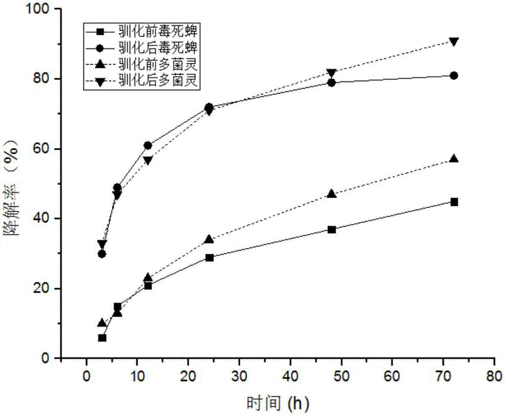 Alcaligenes faecalis subsp.faecalis strain, enzyme preparation as well as application thereof in degrading pesticide residue