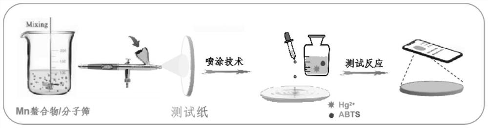 Nano sensor with catalytic activity triggered by Hg ions, preparation method of nano sensor and application of nano sensor in Hg ion detection