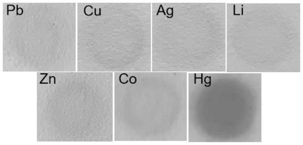 Nano sensor with catalytic activity triggered by Hg ions, preparation method of nano sensor and application of nano sensor in Hg ion detection