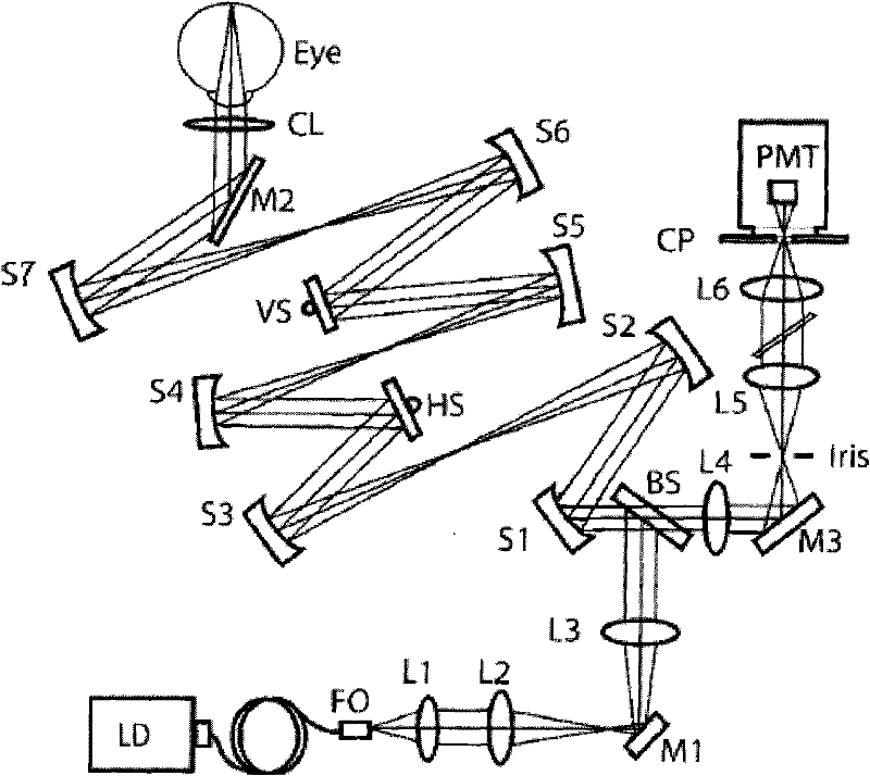 System and method for line scan confocal ophthalmoscope