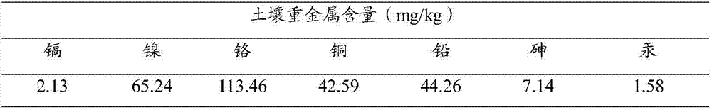 Energy plant remediation method for heavy metal contaminated soil and modifying agent for energy plant remediation method