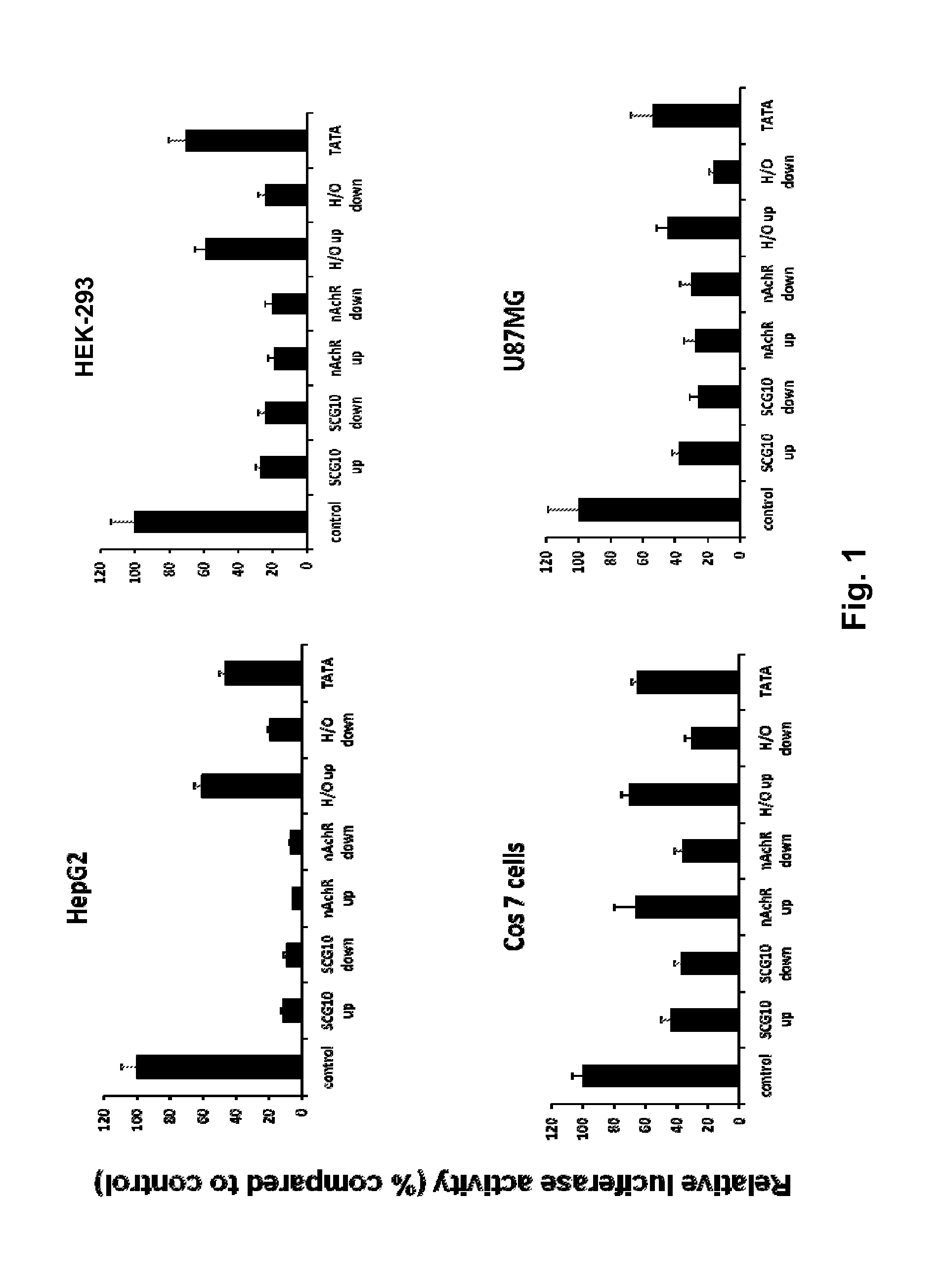 Modified INSM1-Promoter for Neuroendocrine Tumor Therapy and Diagnostics