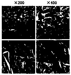 Design of cancellous bone bionic scaffold prepared by 3d printing technology and application thereof