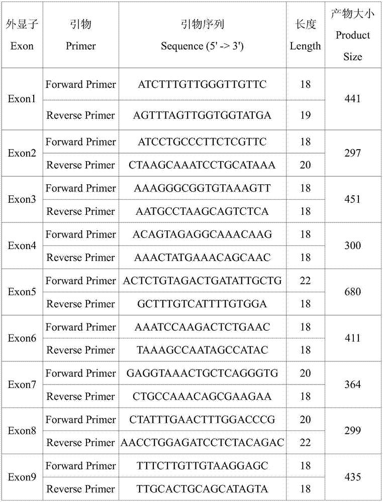 Screening method of molecular marker of circadian rhythm behavior related gene Cry1 of egg ducks