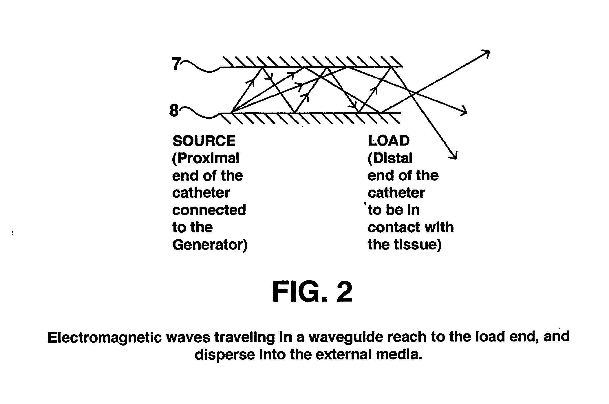 Method and device to form a sensor using isolated cardiomyocytes