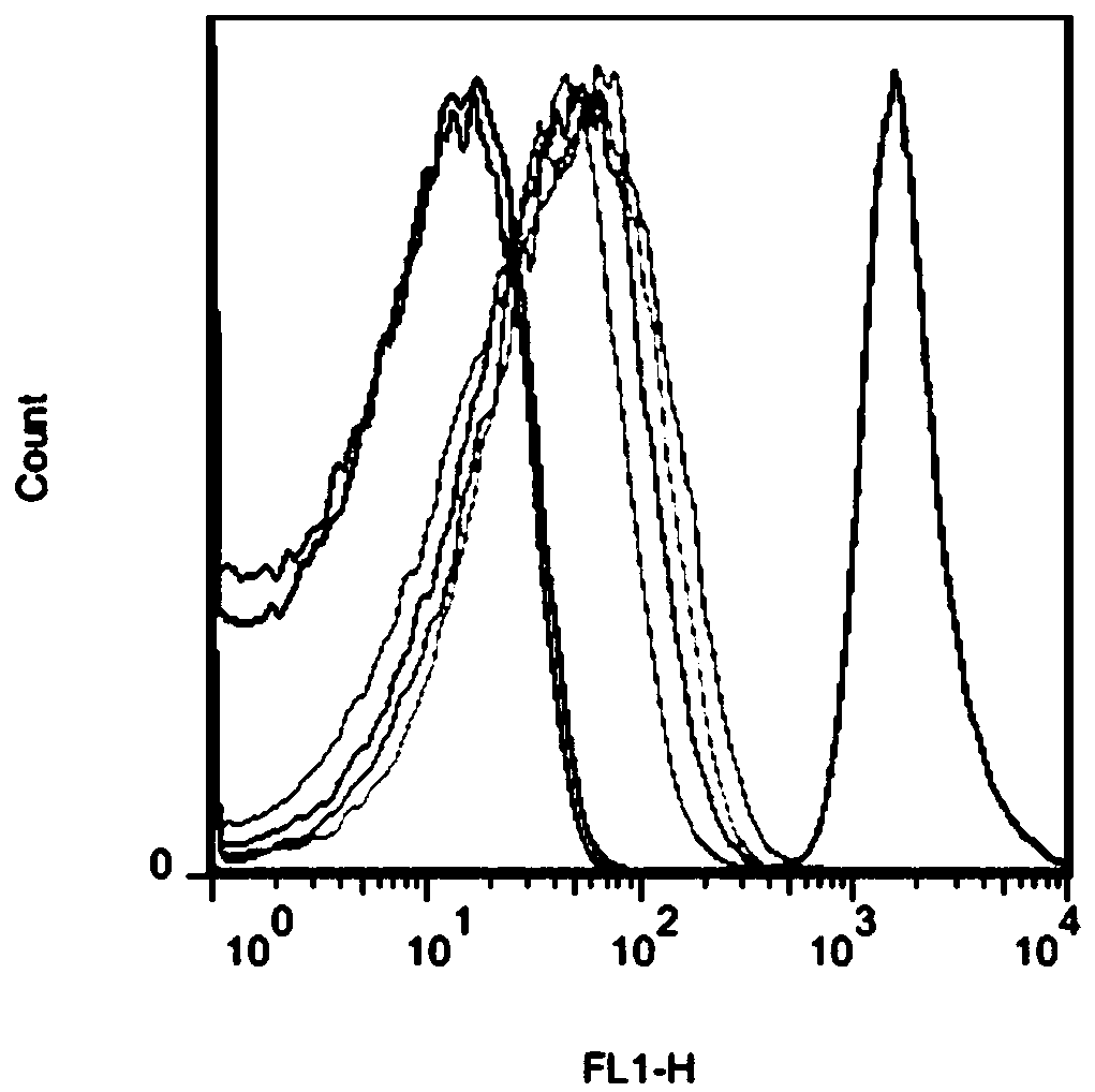 A 5'-utr element and its application in production