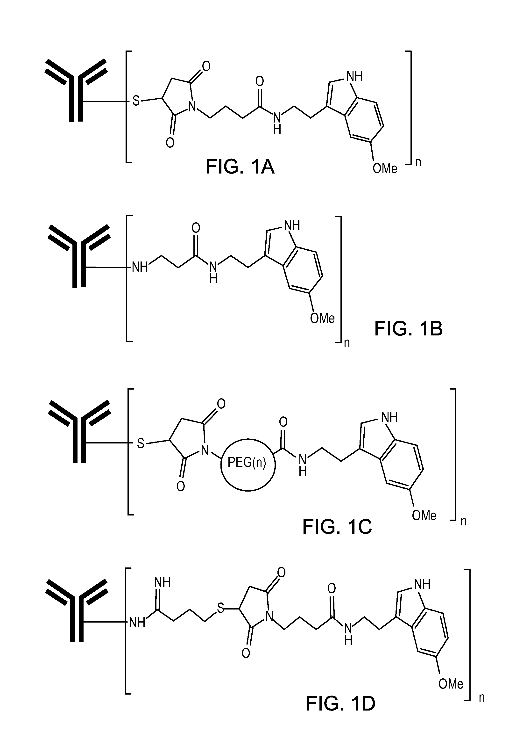 Compositions and methods for treatment of proteinopathies