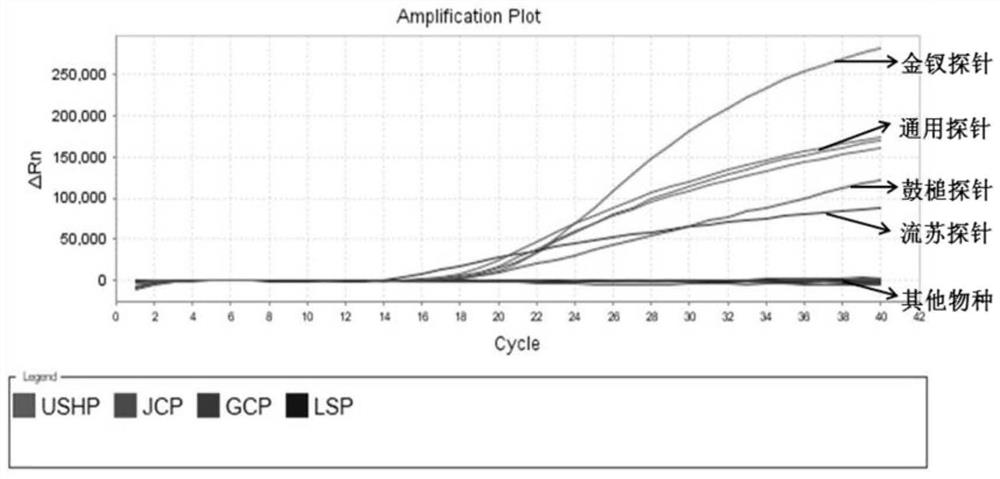 Fluorescent PCR detection kit and its application to identify three kinds of medicinal Dendrobium in Pharmacopoeia