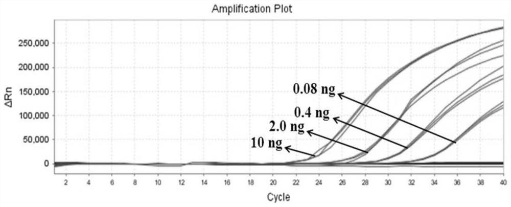 Fluorescent PCR detection kit and its application to identify three kinds of medicinal Dendrobium in Pharmacopoeia