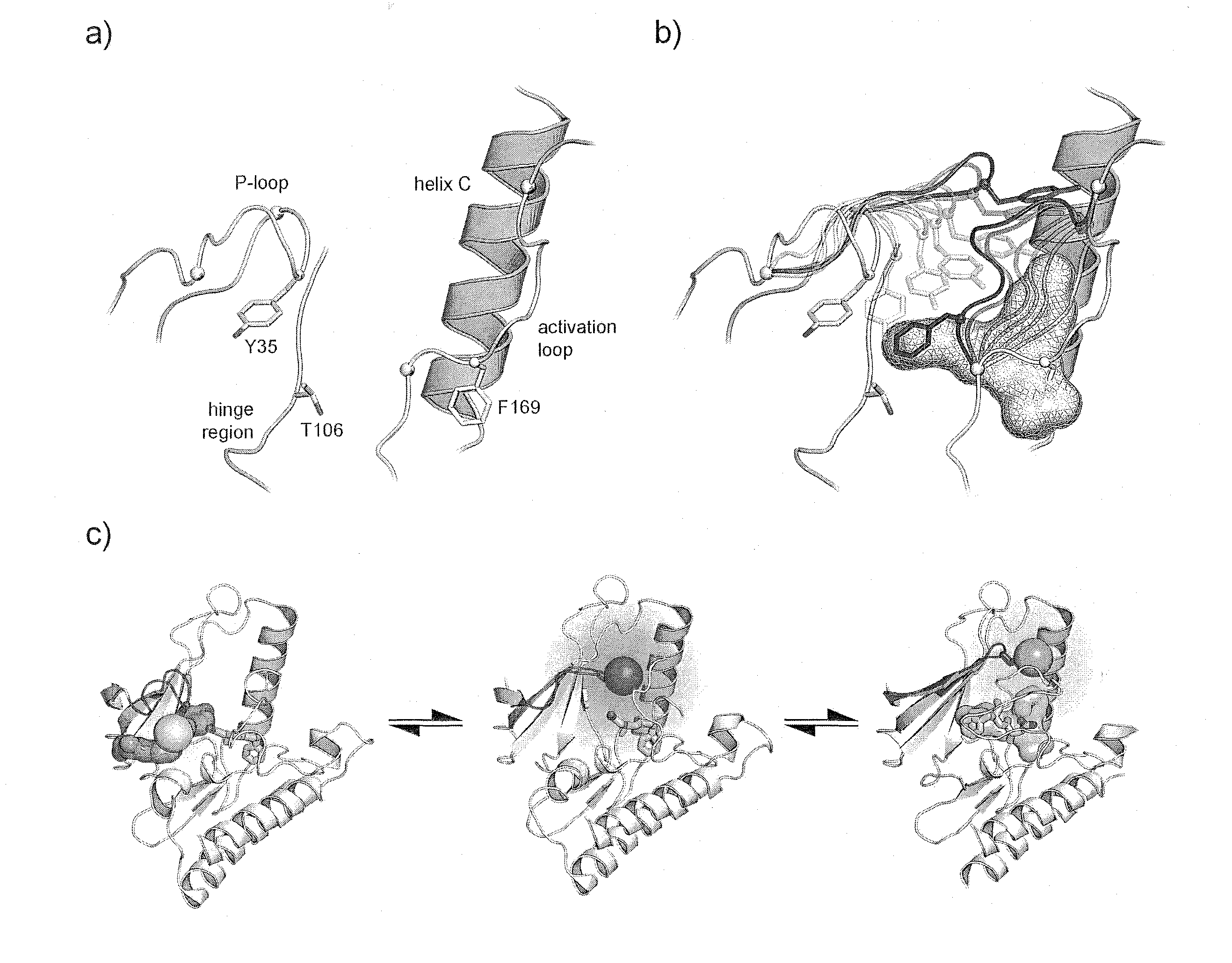 Development of fluorescently p-loop labelled kinases for screening of inhibitors