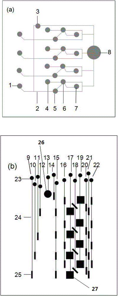 Micro-fluidic chip and nucleic acid extraction and purification method therewith