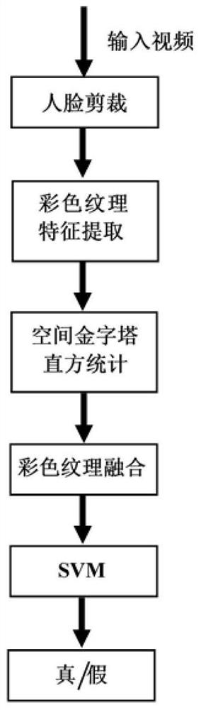 Face fraud detection method and system based on static texture, and storage medium