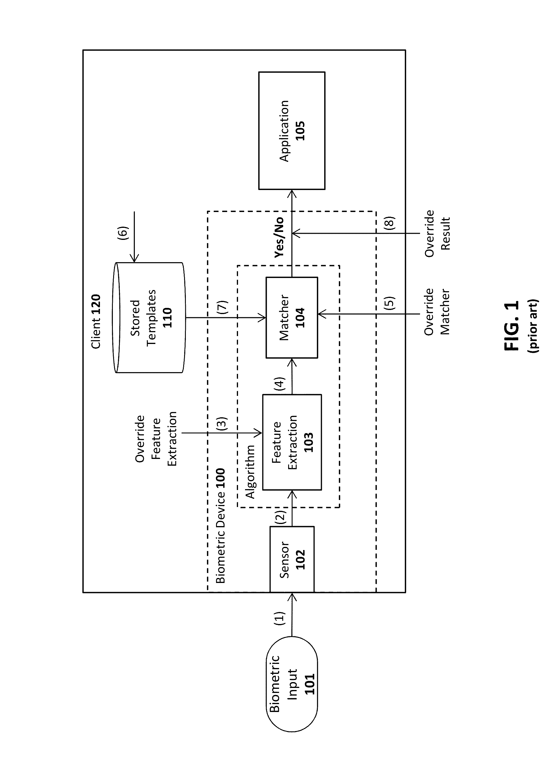 System and method for eye tracking during authentication