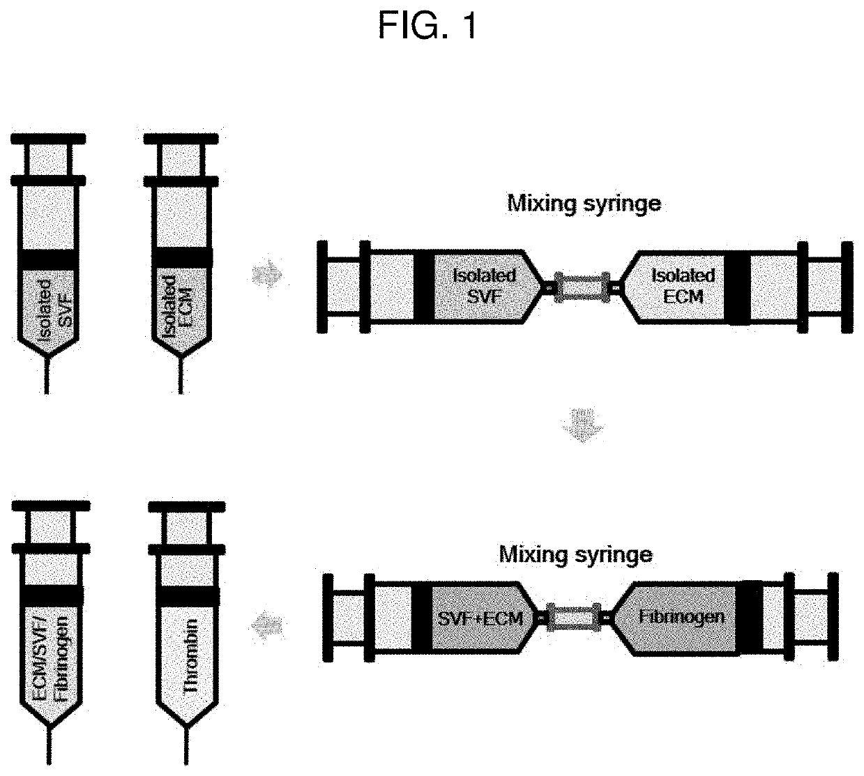 Bioink composition for dermis regeneration sheet, method for manufacturing customized dermis regeneration sheet using same, and customized dermis regeneration sheet manufactured using manufacturing method