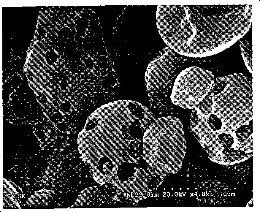 Modified starch particle, preparation and application thereof