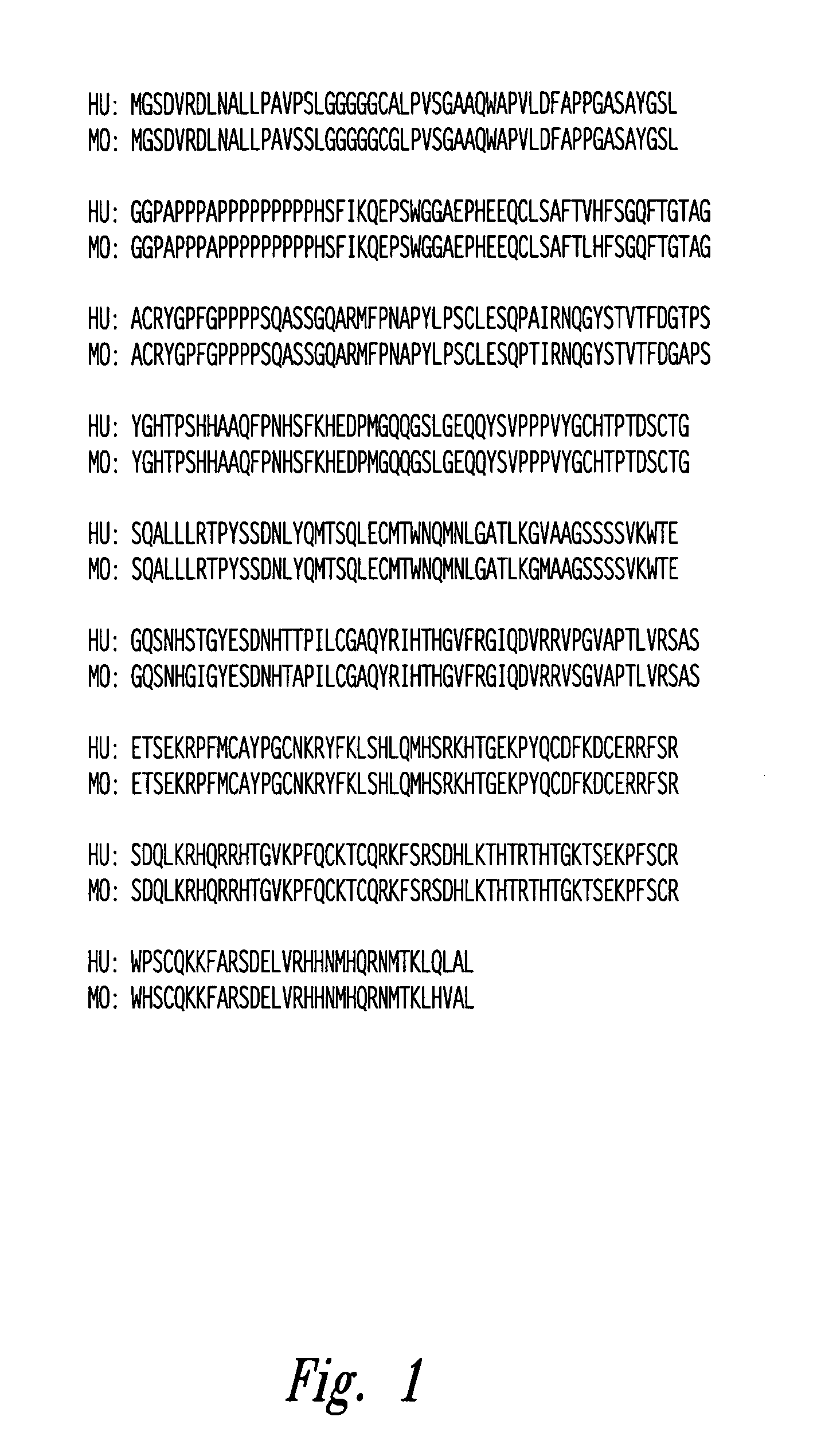 Compositions and methods for WT1 specific immunotherapy