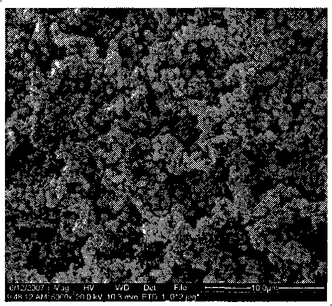 Method for preparing nucleocapsid type microgel composite microsphere using polymerisable surfactant